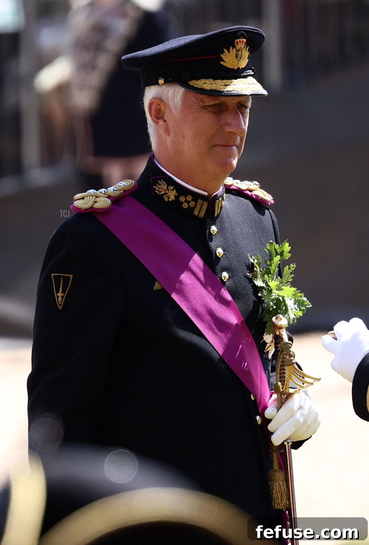 King Philippe of the Belgians adorned with an oak leaf sprig at the Founder's Day Parade. (HENRY NICHOLLS/AFP via Getty Images)