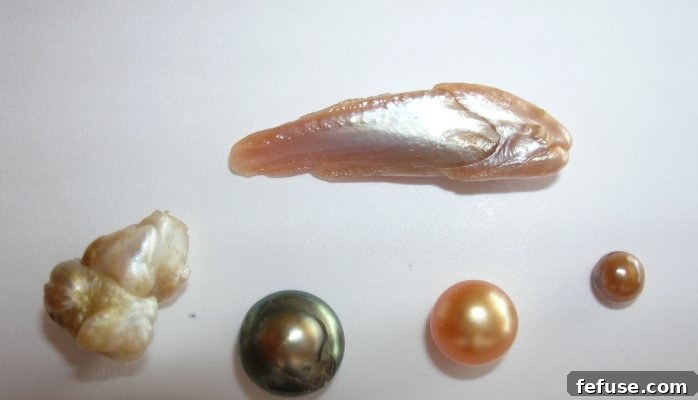 The Story Behind the Fish-Pearl - A Natural Wonder Resembling a Fish