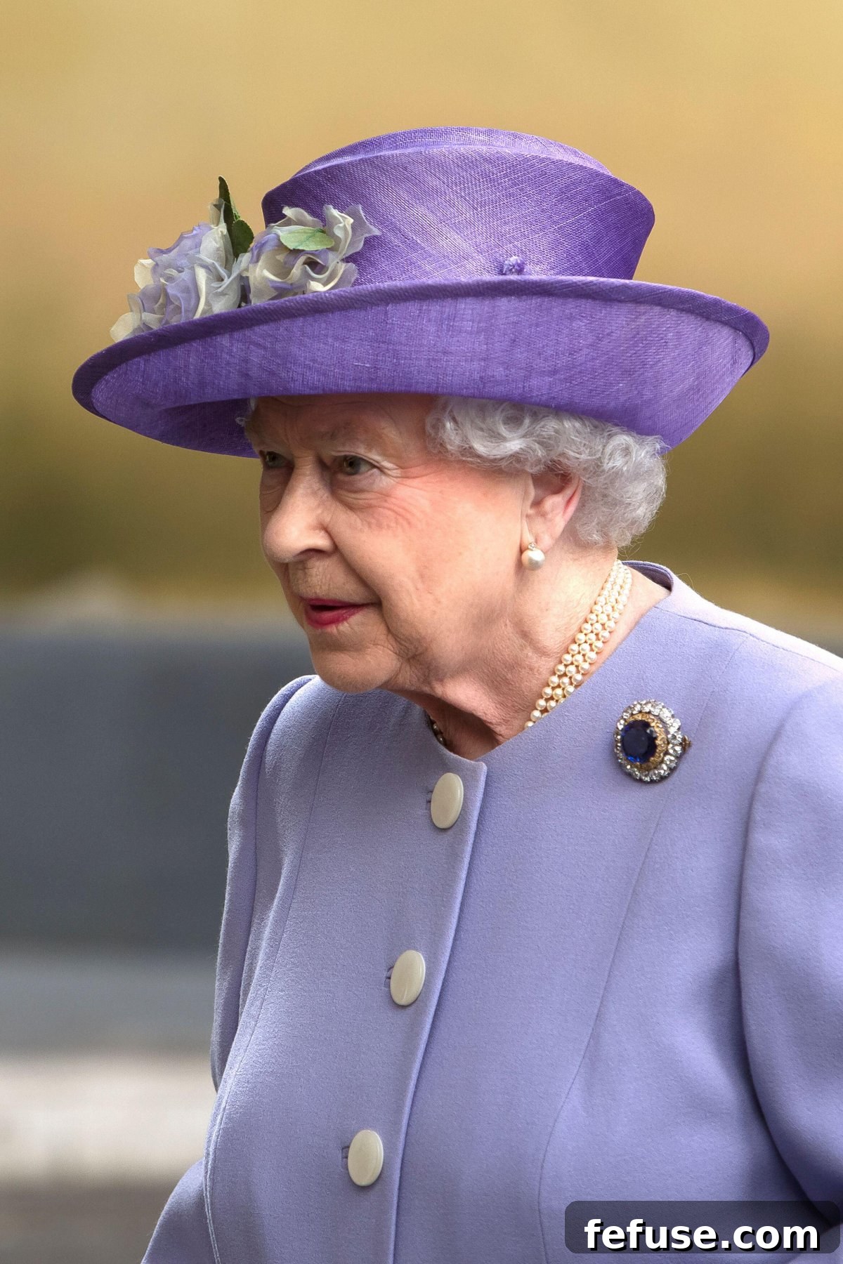 Queen Elizabeth II arrives at the Vatican for a private meeting with Pope Francis on April 3, 2014 (Maria Grazia Picciarella/Alamy)