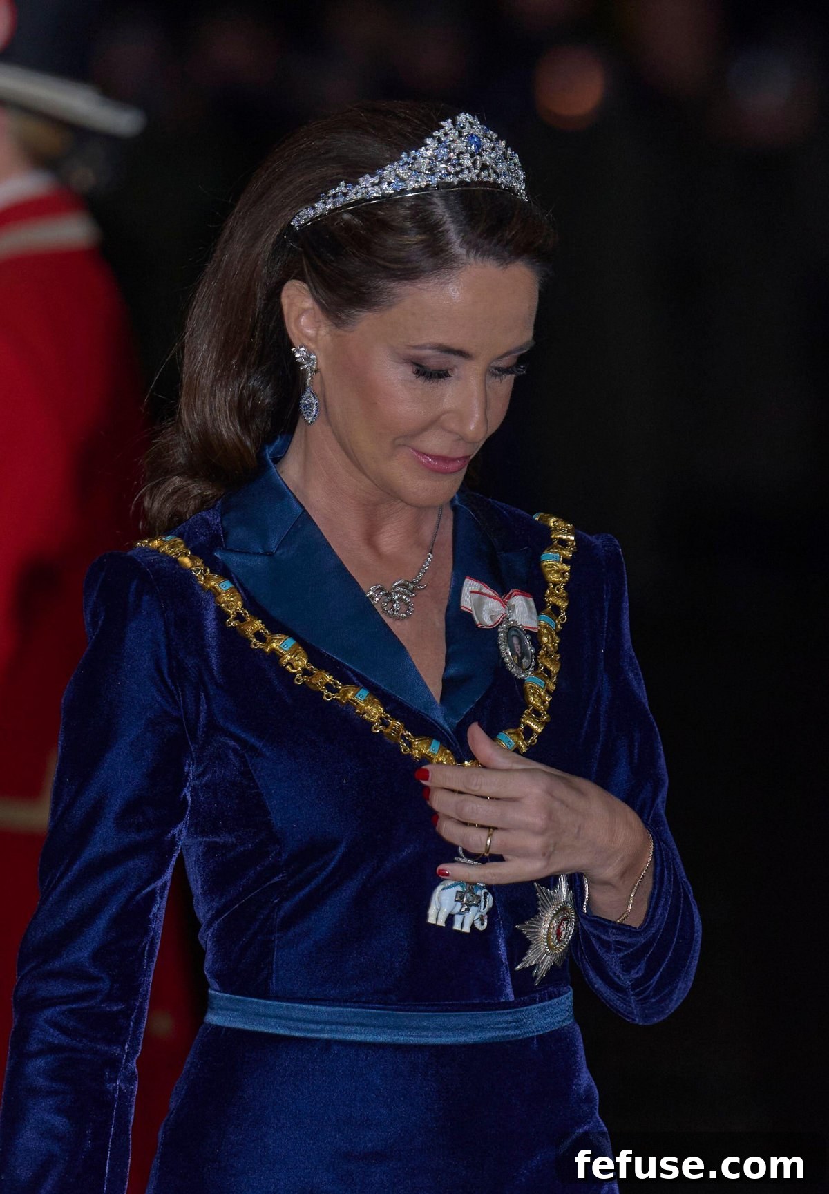 Princess Marie of Denmark attends the New Year's Levee at Amalienborg Palace in Copenhagen on January 1, 2025 (Stefan Lindblom/TT News Agency/Alamy)