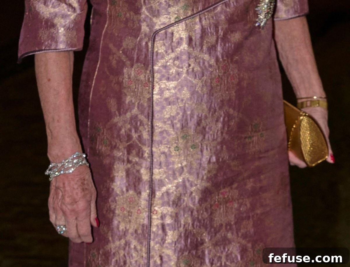 Princess Benedikte of Denmark attends the New Year's Levee at Amalienborg Palace in Copenhagen on January 1, 2025 (Stefan Lindblom/TT News Agency/Alamy)